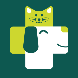 248225977_106659295145361_2296940909594231942_n